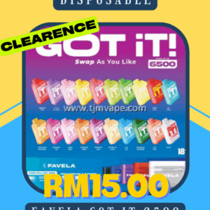 DISPOSABLE FAVELA GOT IT 6500 KIT SET